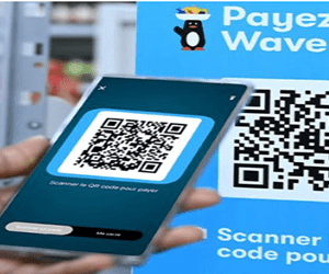 Plugin WooCommerce Wave Version Premium