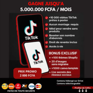 + 10 000 vidéos TikTok prêtes pour publication